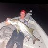 andrewb3904